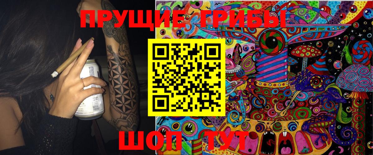 Псилоцибиновые грибы Psilocybe  Псилоцибиновые грибы Magic Shrooms  Чернушка  Вход с VPN 