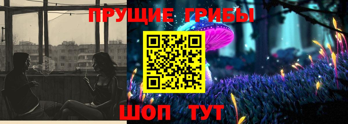 Псилоцибиновые грибы мицелий Чернушка